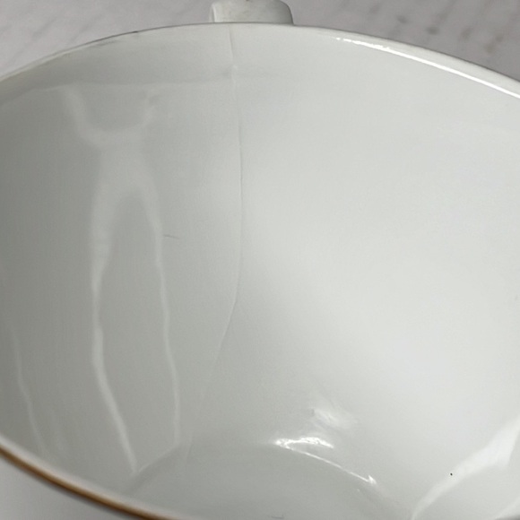 Teacup Set Fine China Feather Design Gold Brim Crafters Decoration Tea Party - Picture 8 of 11